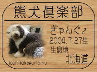 �I�[�i�[�́Amiruku����ł���